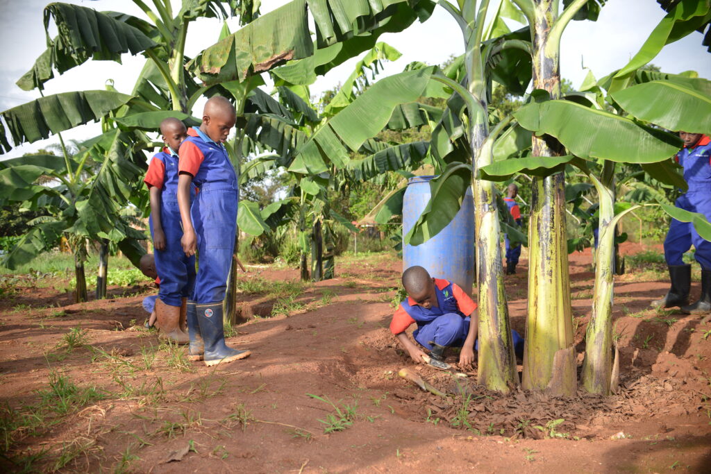 Learners working on their plant projects